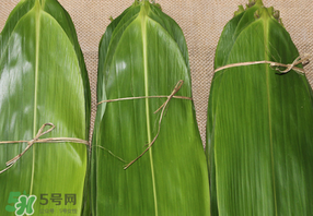 干粽葉要煮嗎？干粽葉到底是泡好還是煮好？