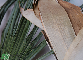 干粽葉要煮嗎？干粽葉到底是泡好還是煮好？