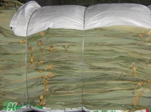 干粽葉怎么保存？干粽葉可以放冰箱嗎？