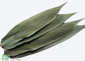 粽子葉怎么保存？粽葉怎么保存？