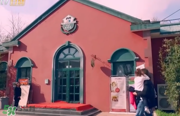 米雅上的幼兒園是哪一家？卡爾安娜國際兒童會(huì)館怎么樣？