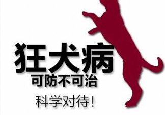 狂犬病會傳染嗎？狂犬病會學狗叫嗎