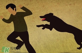 狂犬病疫苗什么時候打？狂犬病潛伏期最長多久