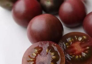 黑番茄是轉(zhuǎn)基因嗎？黑番茄是轉(zhuǎn)基因食品嗎