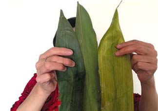 干粽葉怎么煮？干粽葉煮多久？