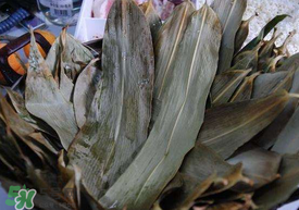 粽子葉可以反復(fù)用嗎？粽葉可以反復(fù)用嗎？