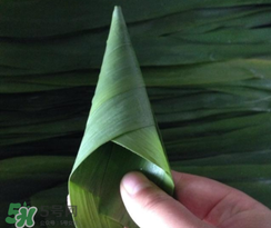 粽子葉能冷凍嗎？粽子葉放冰箱冷藏還是冷凍？