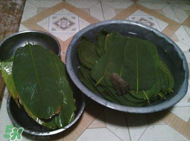 粽子葉怎么洗？粽葉怎么洗才干凈？