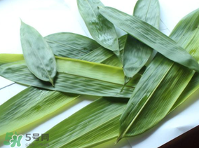 如何挑選粽葉？粽子葉怎么選？