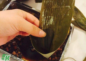 粽子葉怎么煮？煮粽葉的步驟