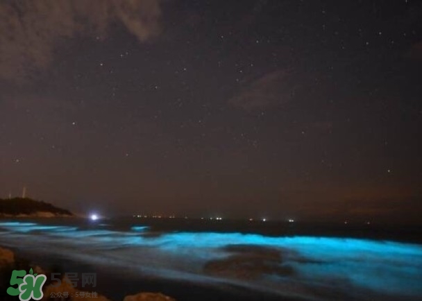 浙江多地驚現(xiàn)藍眼淚現(xiàn)象 藍眼淚是什么？