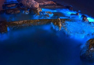 浙江多地驚現(xiàn)藍(lán)眼淚現(xiàn)象 藍(lán)眼淚是什么？