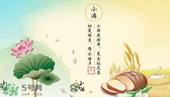 節(jié)氣小滿大滿是什么意思？24節(jié)氣為什么沒有大滿