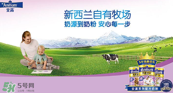安滿滿睿幼兒配方奶粉怎么樣？安滿滿睿奶粉怎么沖？