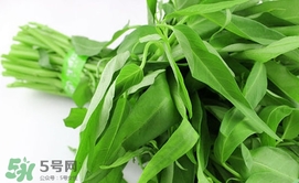 空心菜可以生吃嗎？空心菜能生吃嗎