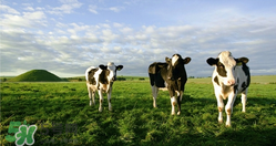 瑞哺恩有機嬰奶粉怎么樣？瑞哺恩有機嬰奶粉怎么沖？