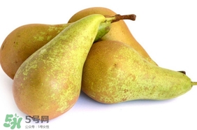 比利時啤梨要削皮嗎？比利時啤梨怎么放軟