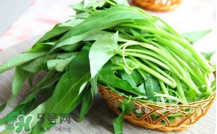 空心菜有毒嗎？空心菜需要焯水嗎？