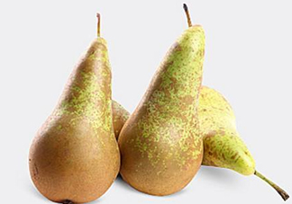  比利時啤梨怎么吃？比利時啤梨怎么是軟的？