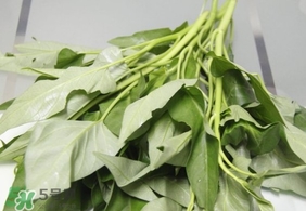 空心菜可以生吃嗎？空心菜能生吃嗎