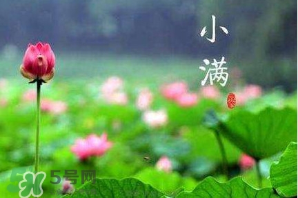 節(jié)氣小滿大滿是什么意思？24節(jié)氣為什么沒有大滿