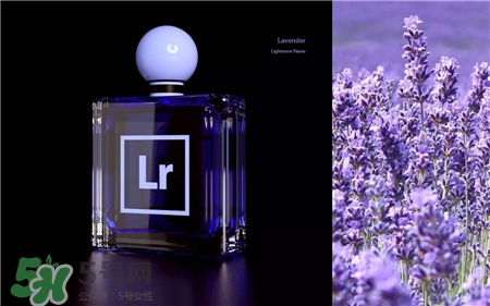 Adobe香水多少錢?Adobe香水在哪里買? Adobe香水多少錢?Adobe香水在哪里買?