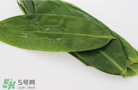 新鮮粽葉怎么處理？新鮮粽子葉怎樣處理？