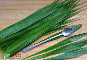 粽葉是蘆葦葉嗎？粽葉和蘆葦葉的區(qū)別