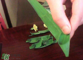 粽葉是蘆葦葉嗎？粽葉和蘆葦葉的區(qū)別