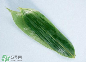 箬葉可以包粽子嗎？箬葉怎么包粽子？