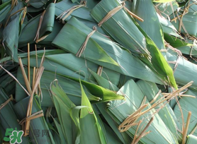 箬葉可以包粽子嗎？箬葉怎么包粽子？