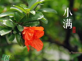 ?小滿可以回娘家嗎？?小滿能回娘家嗎？