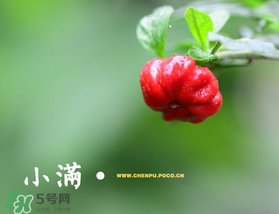 ?小滿可以回娘家嗎？?小滿能回娘家嗎？