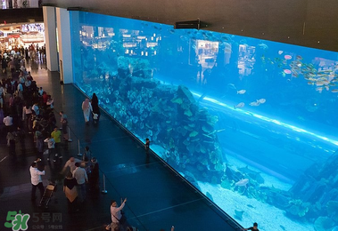 2017迪拜購物攻略 迪拜阿聯(lián)酋買什么便宜？