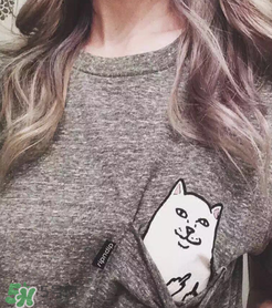 ripndip是什么牌子？ripndip是什么檔次？