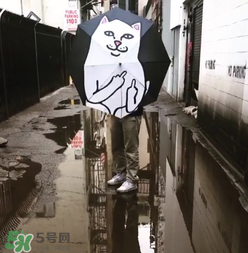 ripndip是什么牌子？ripndip是什么檔次？