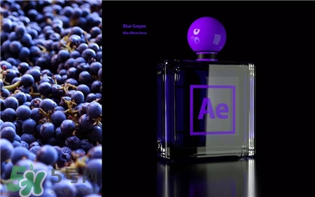 Adobe香水多少錢?Adobe香水在哪里買? Adobe香水多少錢?Adobe香水在哪里買?