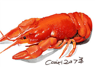 梁荷龍蝦怎么樣？ 梁荷龍蝦好吃嗎？