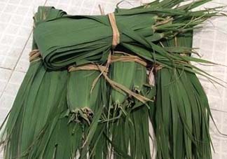 粽葉是蘆葦葉嗎？粽葉和蘆葦葉的區(qū)別