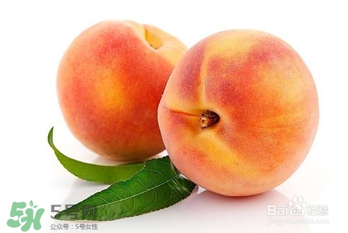 桃子的種類有哪些？哪種桃子最好吃？