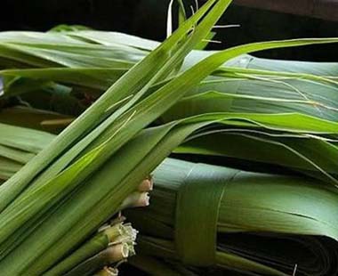 新鮮粽葉怎么處理？新鮮粽子葉怎樣處理？