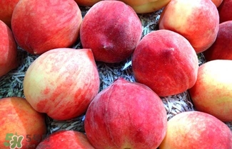 水蜜桃的產(chǎn)地在哪里？水蜜桃熱量高嗎？