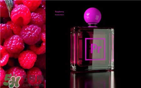 Adobe香水多少錢?Adobe香水在哪里買? Adobe香水多少錢?Adobe香水在哪里買?