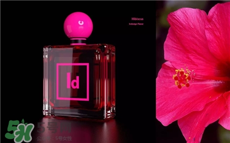 Adobe香水多少錢?Adobe香水在哪里買? Adobe香水多少錢?Adobe香水在哪里買?