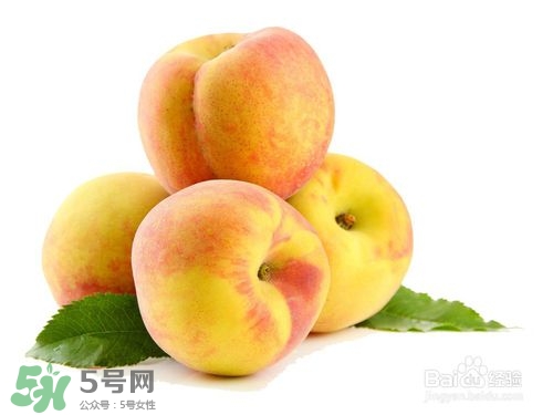 桃子的種類有哪些？哪種桃子最好吃？