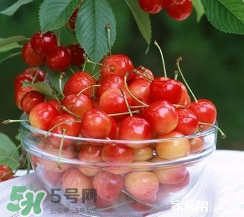 櫻桃是熱性還是涼性？櫻桃能多吃嗎？