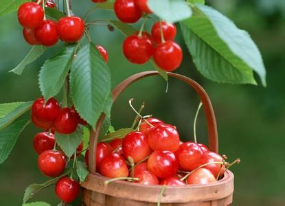 櫻桃不能和什么一起吃？吃櫻桃有5大好處
