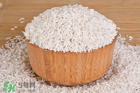 江米泡多久才可以包粽子？江米包粽子跑多長時(shí)間？