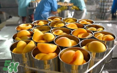 黃桃為什么水果店沒得？黃桃哪里產(chǎn)的最好吃