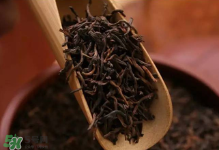 普洱茶能不能天天喝？天天喝普洱茶好嗎？